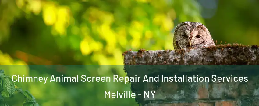  Chimney Animal Screen Repair And Installation Services Melville - NY