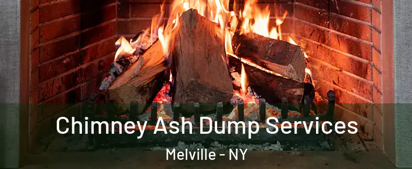  Chimney Ash Dump Services Melville - NY