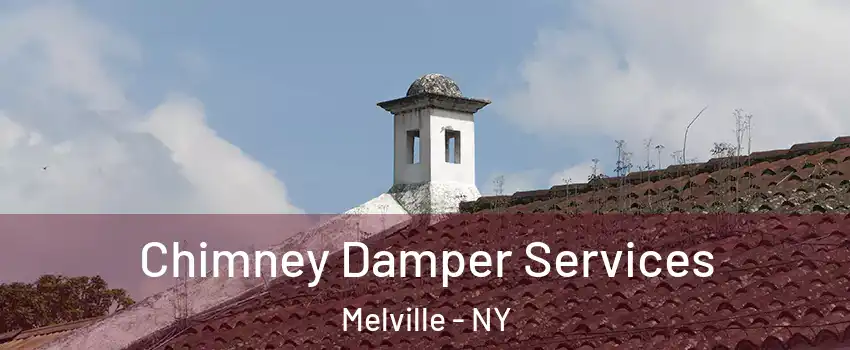  Chimney Damper Services Melville - NY
