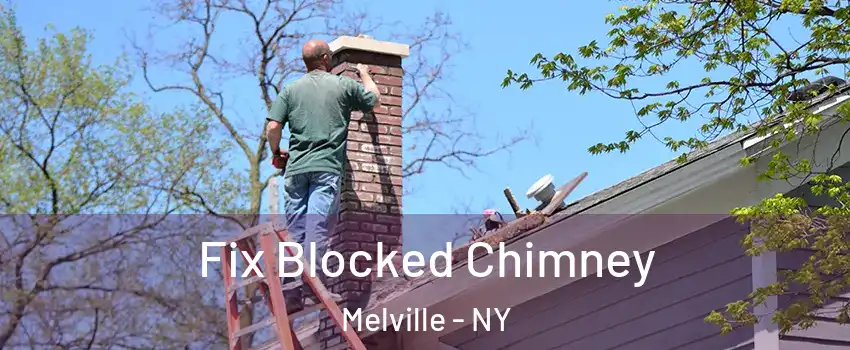  Fix Blocked Chimney Melville - NY