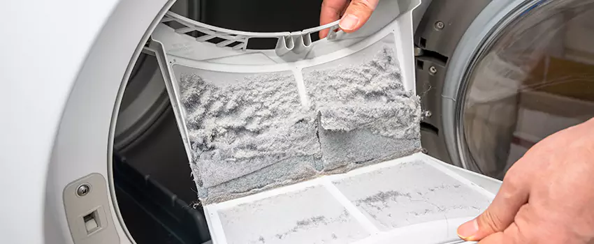 Best Dryer Lint Removal Company in Melville, New York