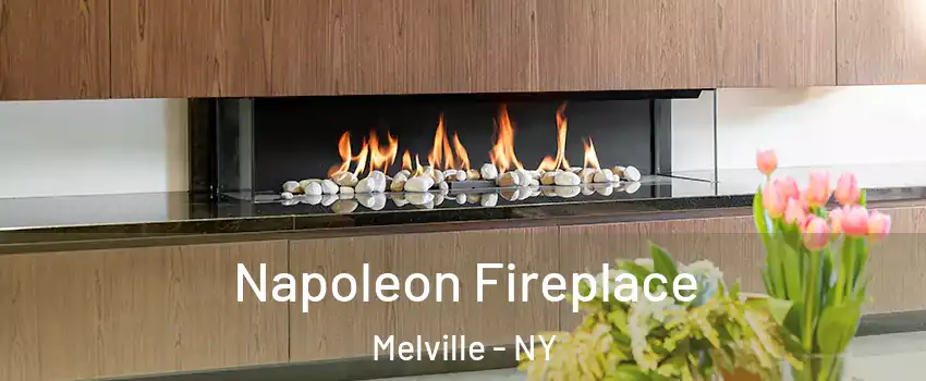  Napoleon Fireplace Melville - NY